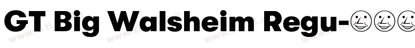 GT Big Walsheim Regu字体转换